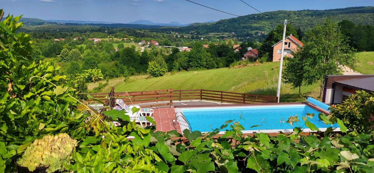 Vila Lisina Selište Drežničko Exterior foto