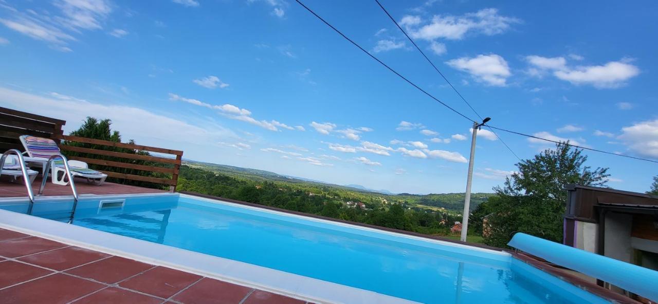 Vila Lisina Selište Drežničko Exterior foto