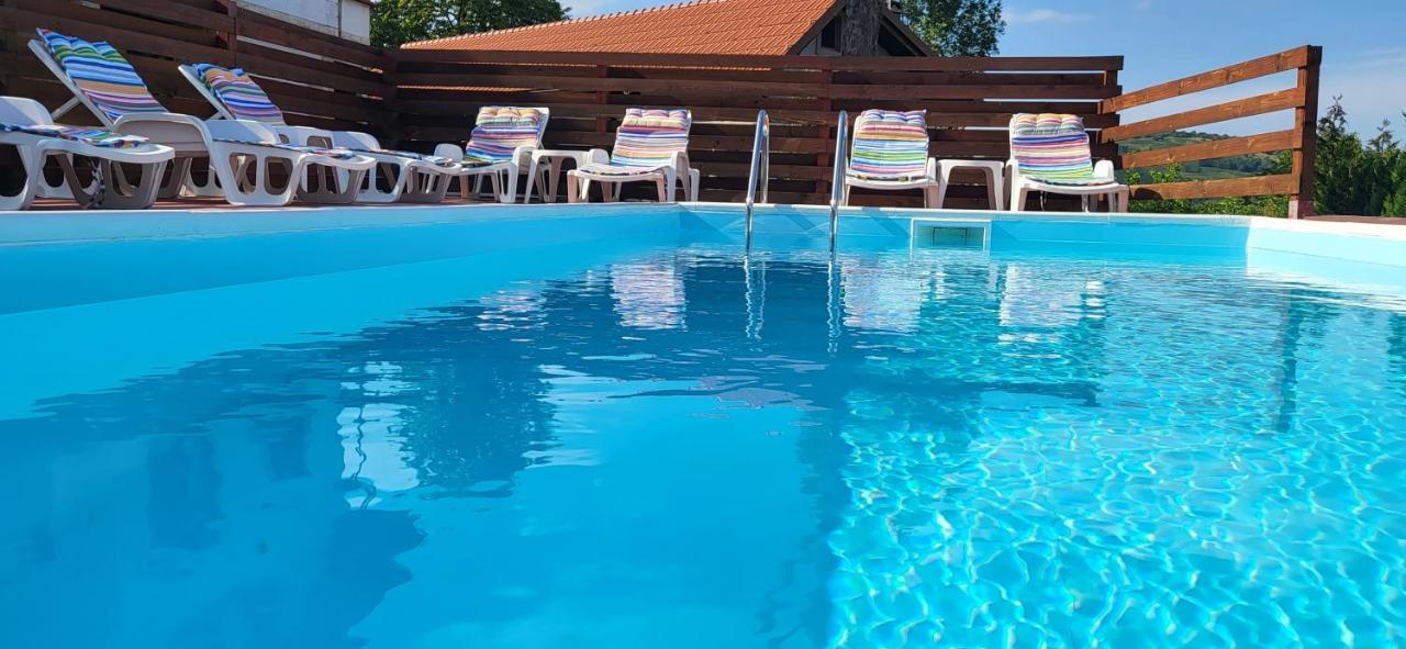 Vila Lisina Selište Drežničko Exterior foto