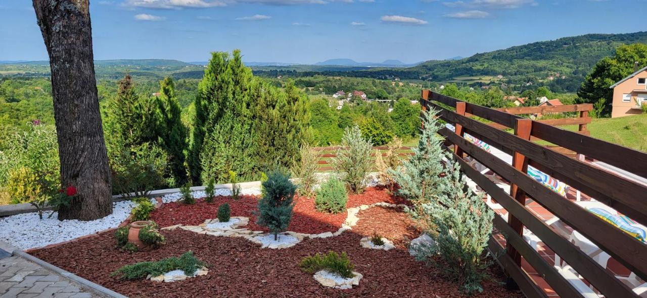 Vila Lisina Selište Drežničko Exterior foto