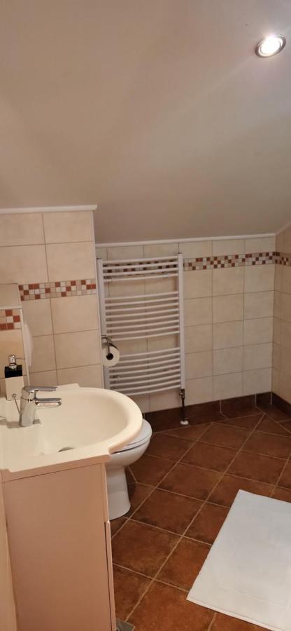 Vila Lisina Selište Drežničko Exterior foto