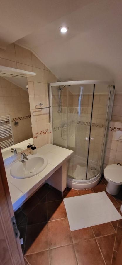 Vila Lisina Selište Drežničko Exterior foto
