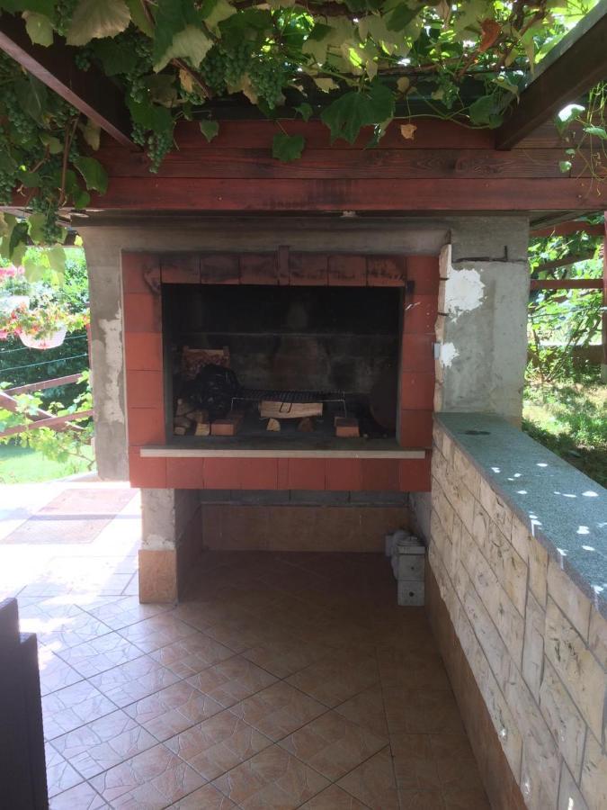 Vila Lisina Selište Drežničko Exterior foto