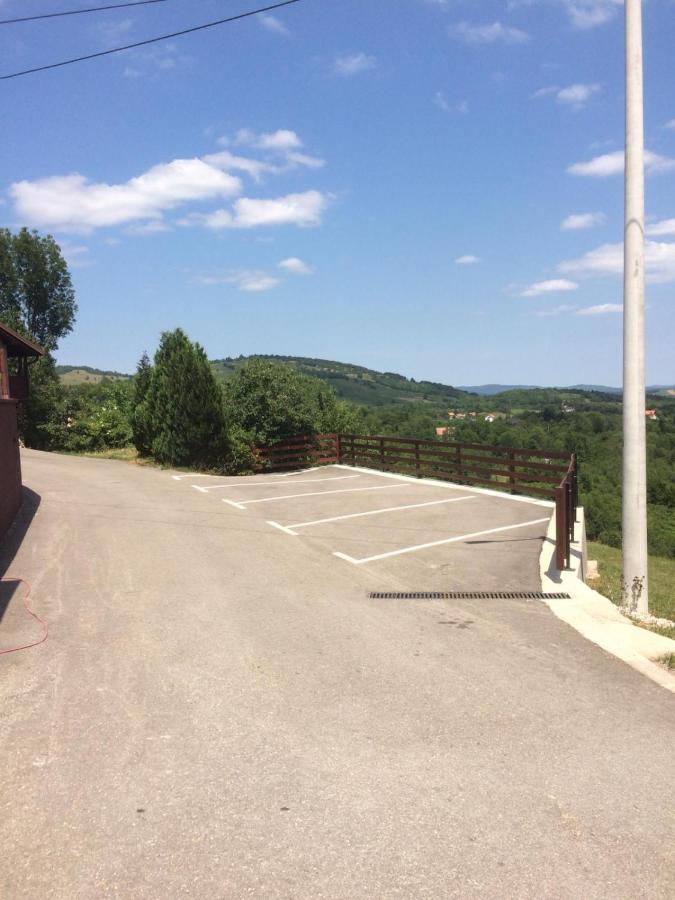 Vila Lisina Selište Drežničko Exterior foto