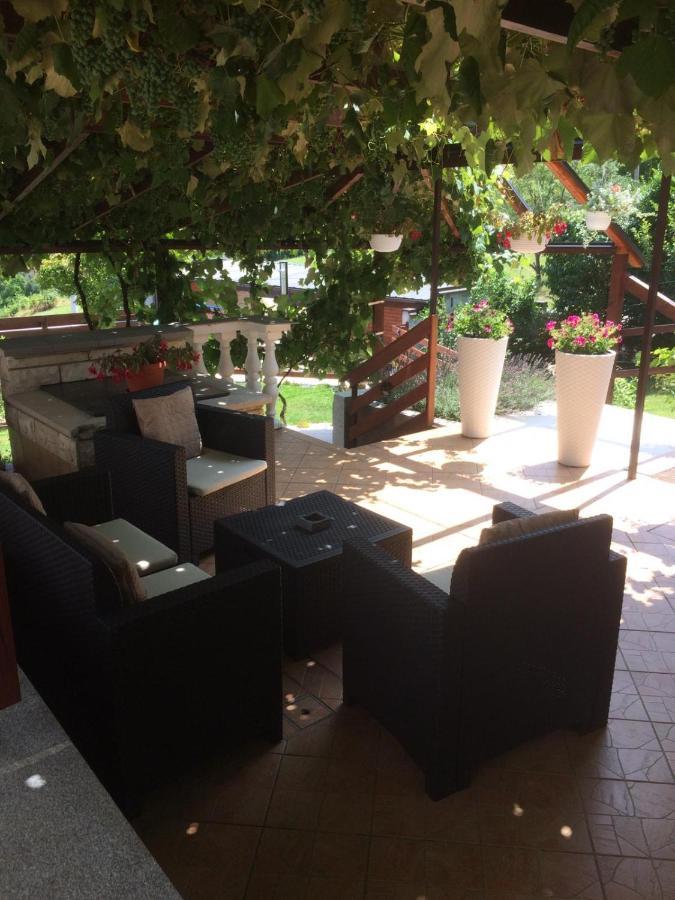 Vila Lisina Selište Drežničko Exterior foto