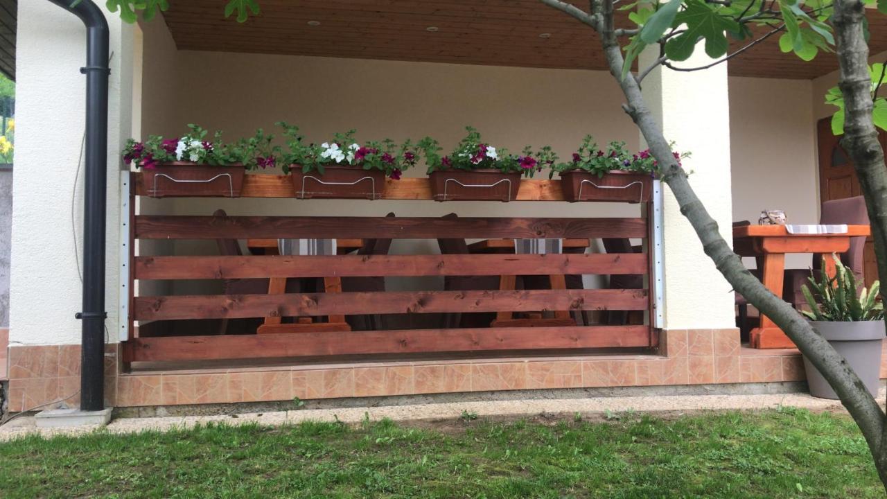 Vila Lisina Selište Drežničko Exterior foto